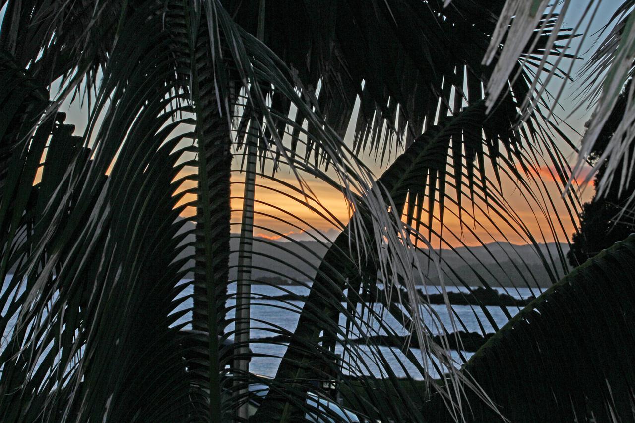 קופרס ביץ' Driftwood Lodge Beachfront, Cable Bay, Northland מראה חיצוני תמונה